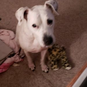 Meet your Posher, Carla